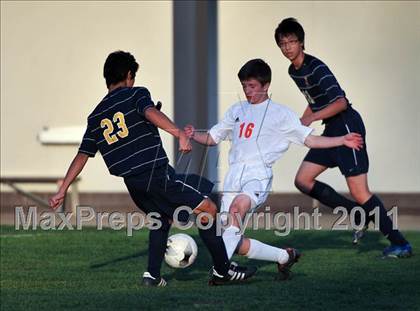 Thumbnail 1 in Webb @ Poly photogallery.