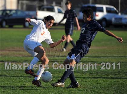 Thumbnail 2 in Webb @ Poly photogallery.