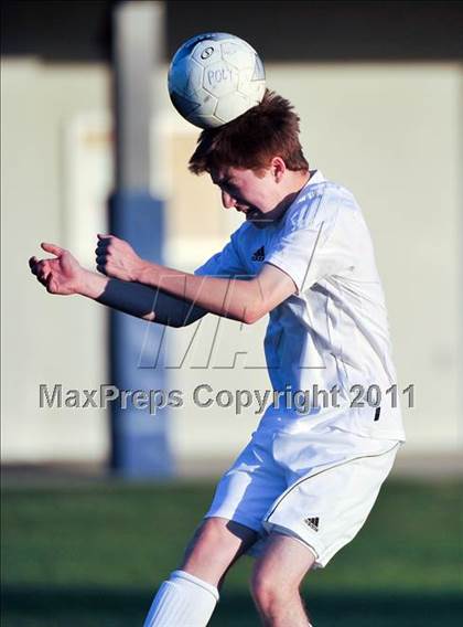 Thumbnail 3 in Webb @ Poly photogallery.