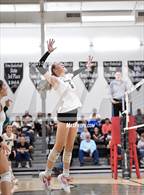 Photo from the gallery "Poolville @ Graford"