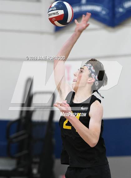Thumbnail 2 in Leigh @ Branham photogallery.