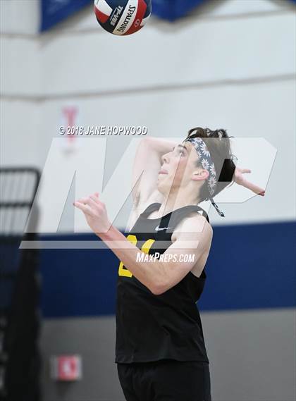 Thumbnail 2 in Leigh @ Branham photogallery.