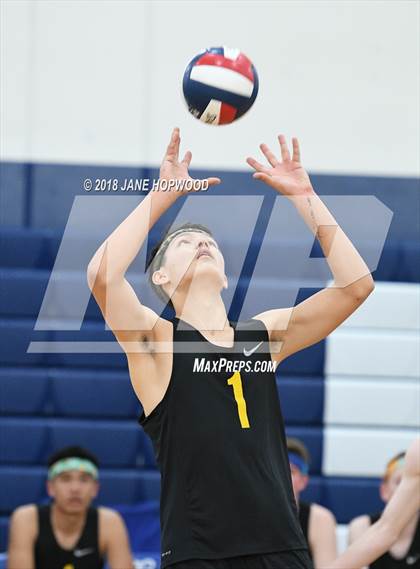 Thumbnail 3 in Leigh @ Branham photogallery.