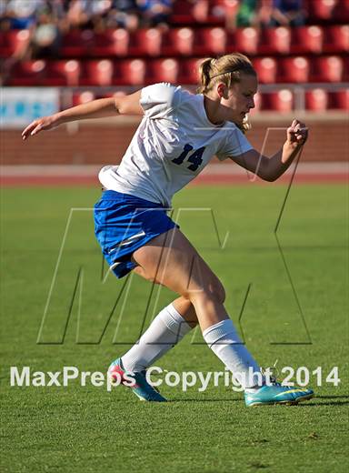 null - Photo 01