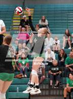 Photo from the gallery "College Station @ Brenham"