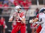 Photo from the gallery "Mustang @ Yukon"
