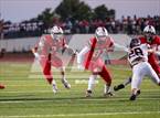 Photo from the gallery "Mustang @ Yukon"