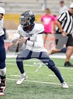 Photo from the gallery "Colony @ Charter Oak"