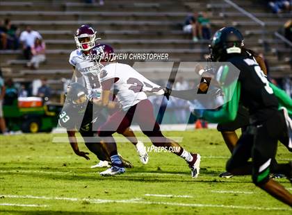Thumbnail 1 in Niceville @ Choctawhatchee photogallery.