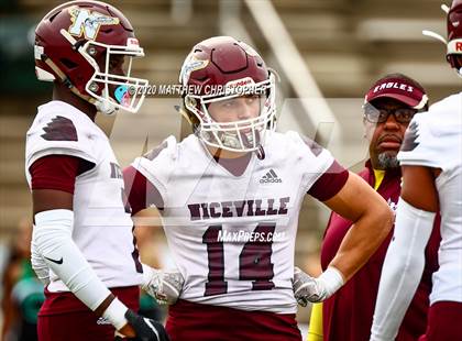 Thumbnail 2 in Niceville @ Choctawhatchee photogallery.