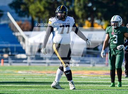 Thumbnail 2 in Mountain View vs. Palo Alto (CIF CCS D4 Finals) photogallery.