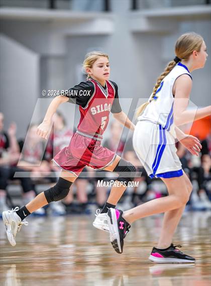 Thumbnail 1 in Siloam Springs @ Harrison (B-Teams) photogallery.