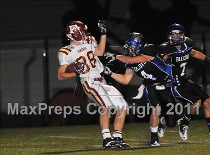 Thumbnail 3 in Ponderosa @ Highlands Ranch photogallery.