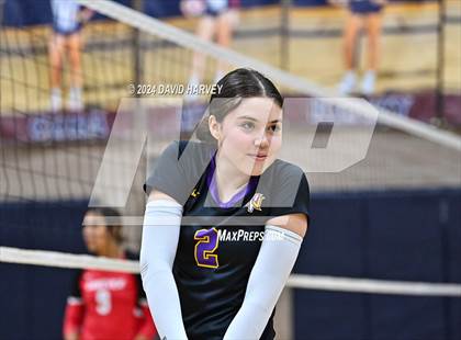Thumbnail 3 in Rangeview vs Denver North photogallery.