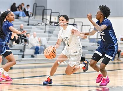 Thumbnail 2 in Lehigh @ Venice photogallery.