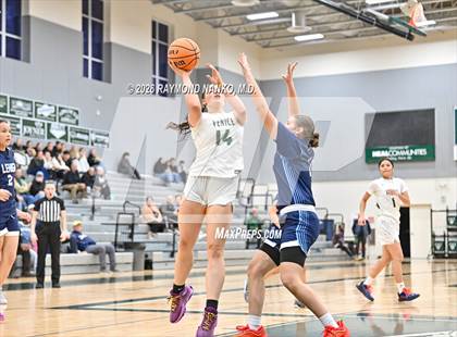 Thumbnail 3 in Lehigh @ Venice photogallery.