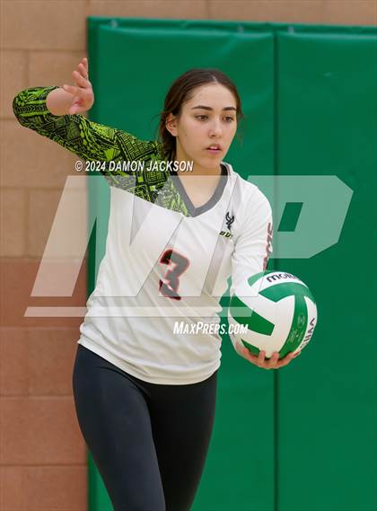 Thumbnail 2 in Sports Leadership & Management vs Virgin Valley (Quarterfinals 3A South) photogallery.