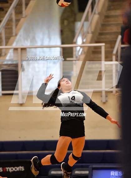 Thumbnail 1 in Madison vs Steele (NISD Volleyball Tournament) photogallery.