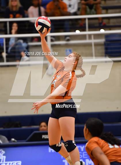 Thumbnail 3 in Madison vs Steele (NISD Volleyball Tournament) photogallery.