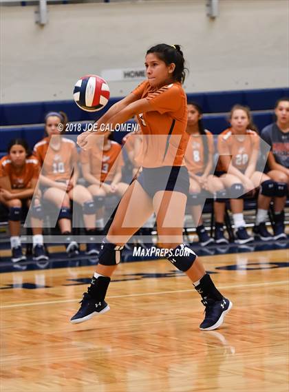 Thumbnail 1 in Madison vs Steele (NISD Volleyball Tournament) photogallery.