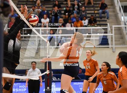 Thumbnail 1 in Madison vs Steele (NISD Volleyball Tournament) photogallery.