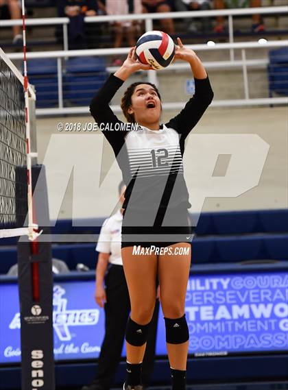 Thumbnail 3 in Madison vs Steele (NISD Volleyball Tournament) photogallery.