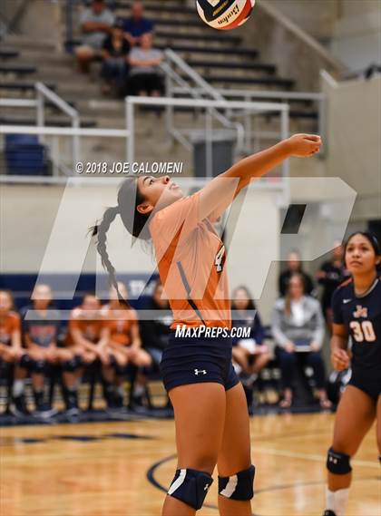 Thumbnail 2 in Madison vs Steele (NISD Volleyball Tournament) photogallery.