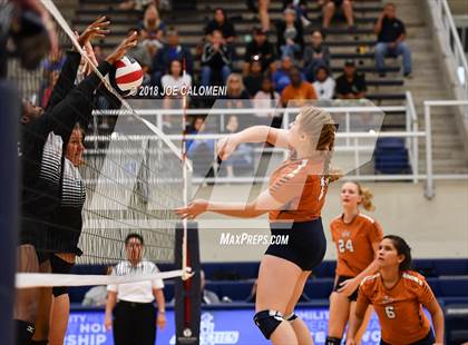 Thumbnail 3 in Madison vs Steele (NISD Volleyball Tournament) photogallery.