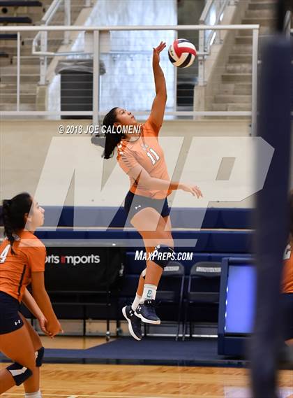 Thumbnail 2 in Madison vs Steele (NISD Volleyball Tournament) photogallery.