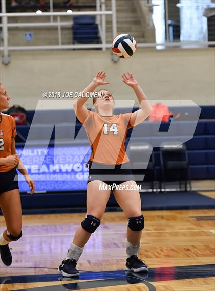 Thumbnail 3 in Madison vs Steele (NISD Volleyball Tournament) photogallery.