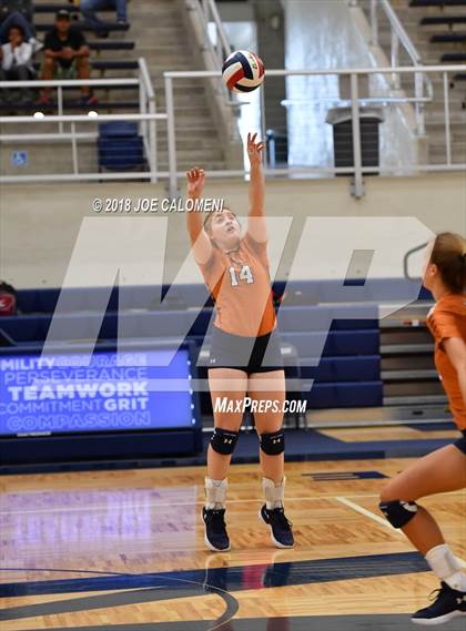 Thumbnail 2 in Madison vs Steele (NISD Volleyball Tournament) photogallery.