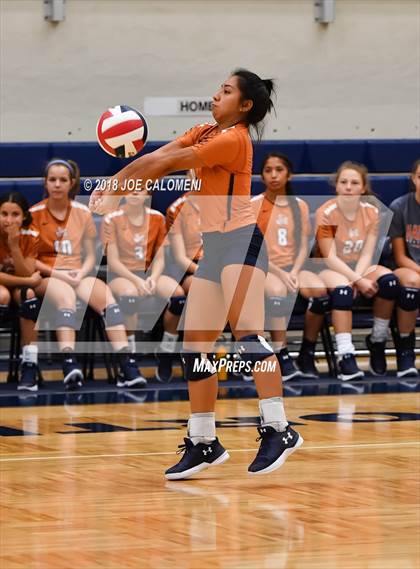 Thumbnail 2 in Madison vs Steele (NISD Volleyball Tournament) photogallery.
