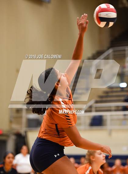 Thumbnail 1 in Madison vs Steele (NISD Volleyball Tournament) photogallery.