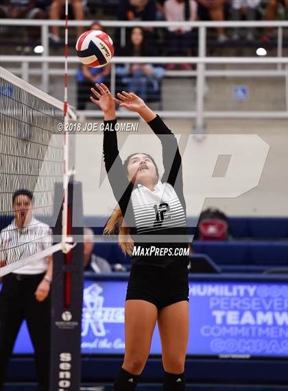 Thumbnail 2 in Madison vs Steele (NISD Volleyball Tournament) photogallery.