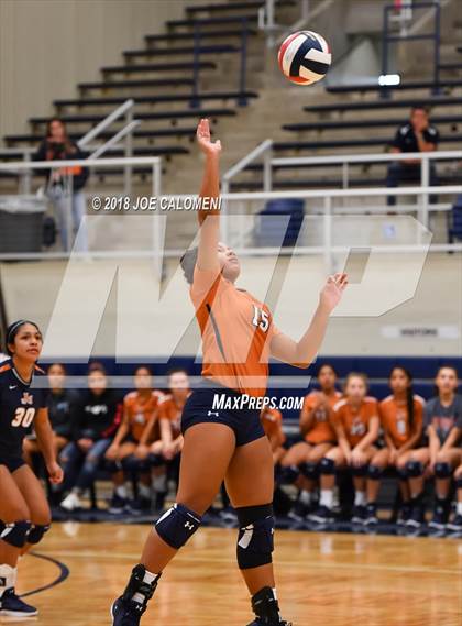 Thumbnail 1 in Madison vs Steele (NISD Volleyball Tournament) photogallery.