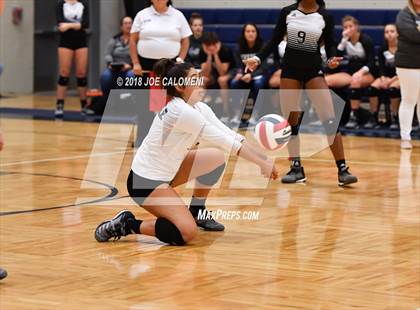 Thumbnail 1 in Madison vs Steele (NISD Volleyball Tournament) photogallery.