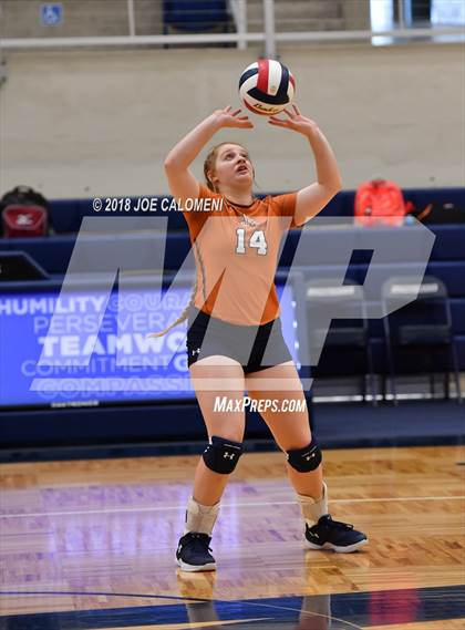 Thumbnail 2 in Madison vs Steele (NISD Volleyball Tournament) photogallery.