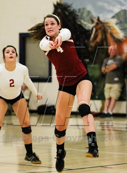 Thumbnail 3 in Chatfield @ Ralston Valley photogallery.