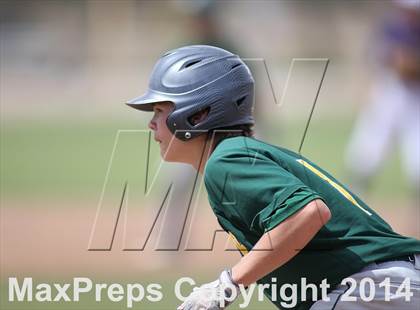 Thumbnail 1 in Palo Verde Valley vs. Sabino (Lancer Baseball Classic) photogallery.