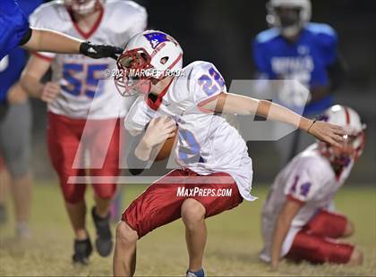 Thumbnail 1 in Pinellas Park photogallery.