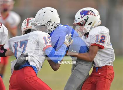 Thumbnail 3 in Pinellas Park photogallery.