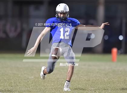Thumbnail 3 in Pinellas Park photogallery.