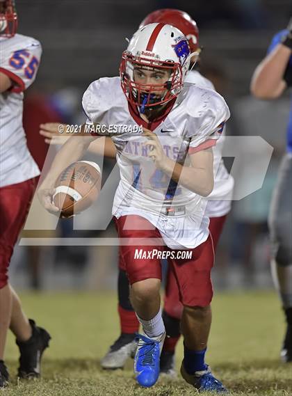 Thumbnail 2 in Pinellas Park photogallery.
