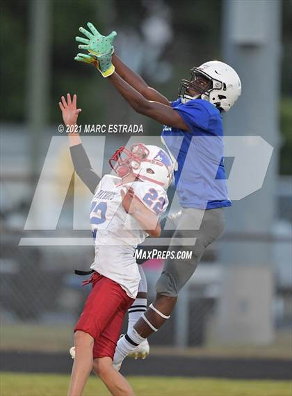 Thumbnail 3 in Pinellas Park photogallery.