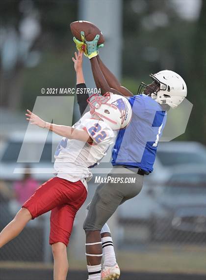 Thumbnail 1 in Pinellas Park photogallery.