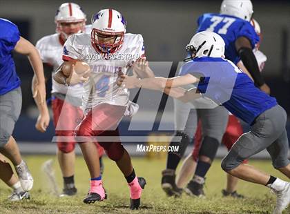 Thumbnail 3 in Pinellas Park photogallery.