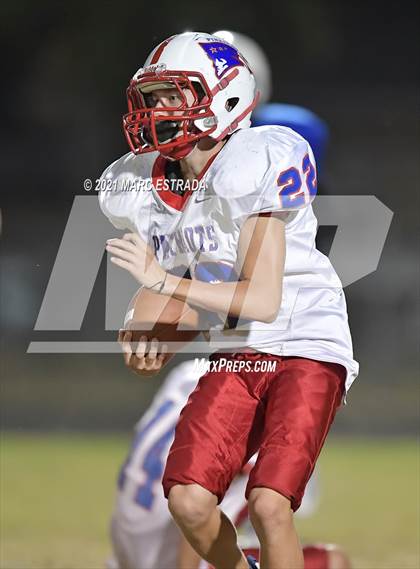 Thumbnail 3 in Pinellas Park photogallery.
