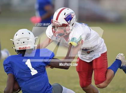 Thumbnail 3 in Pinellas Park photogallery.