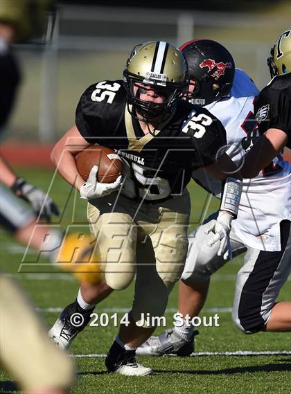 Thumbnail 1 in Warde @ Trumbull photogallery.