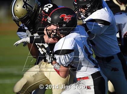 Thumbnail 1 in Warde @ Trumbull photogallery.